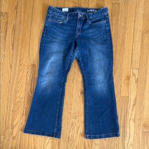GAP Blue Flare Wide Leg Jeans